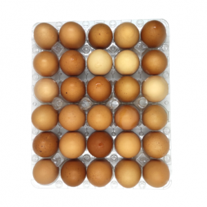 Huevos